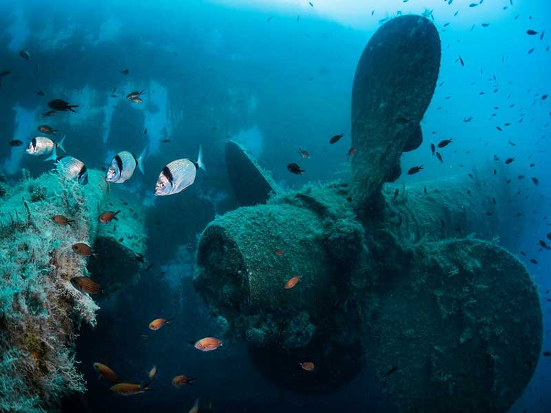 Limassol Shipwrecks